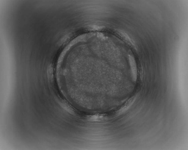 X0000111810366200908201115