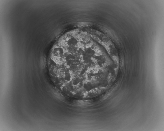 X0000111810367200908201115