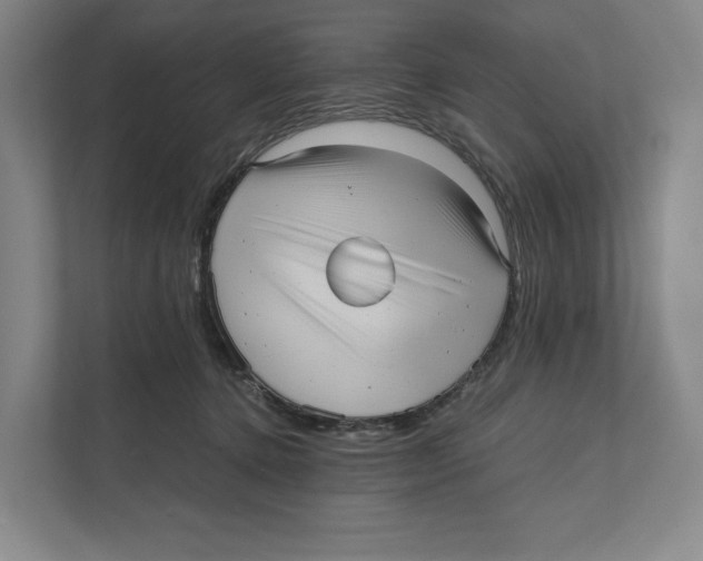 X0000111810368200908201115
