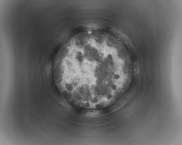 X0000111810369200908201115
