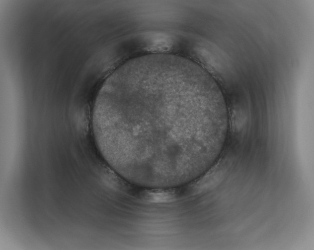 X0000111810370200908201115