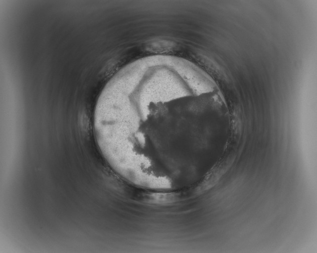X0000111810371200908201115