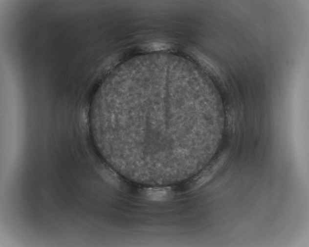 X0000111810373200908201115