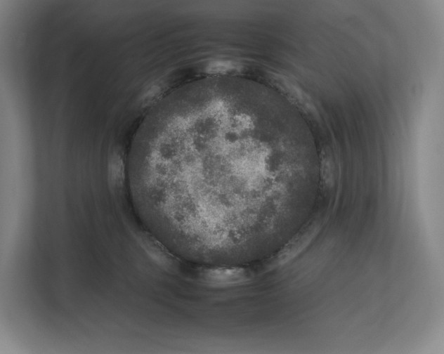 X0000111810375200908201115