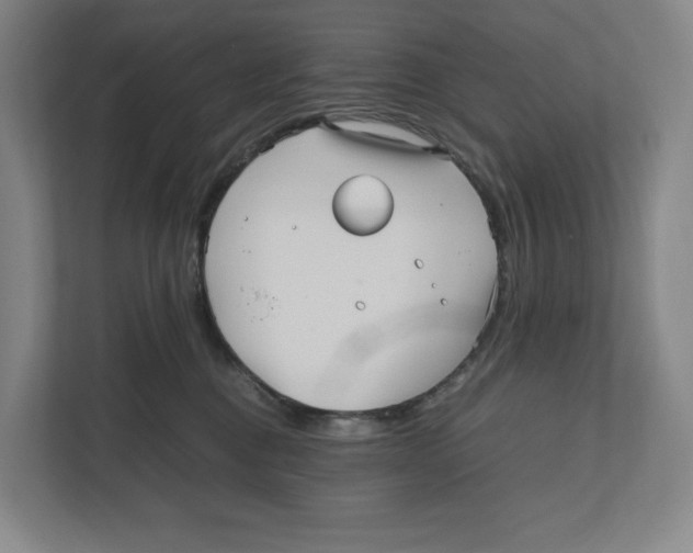 X0000111810376200908201115