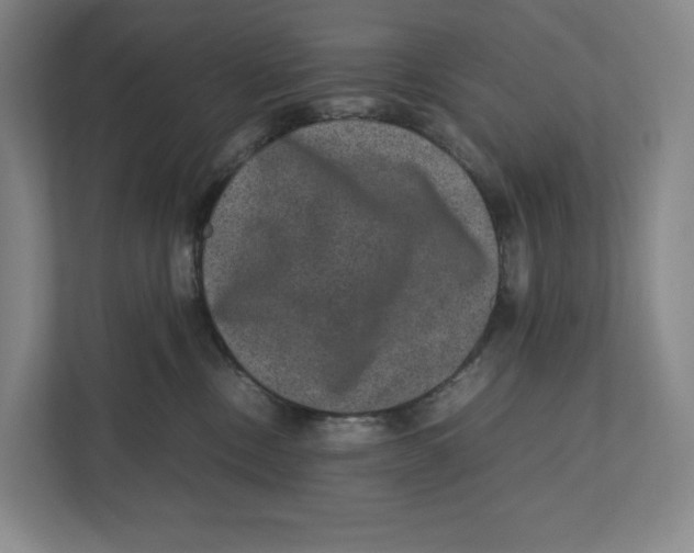 X0000111810378200908201115