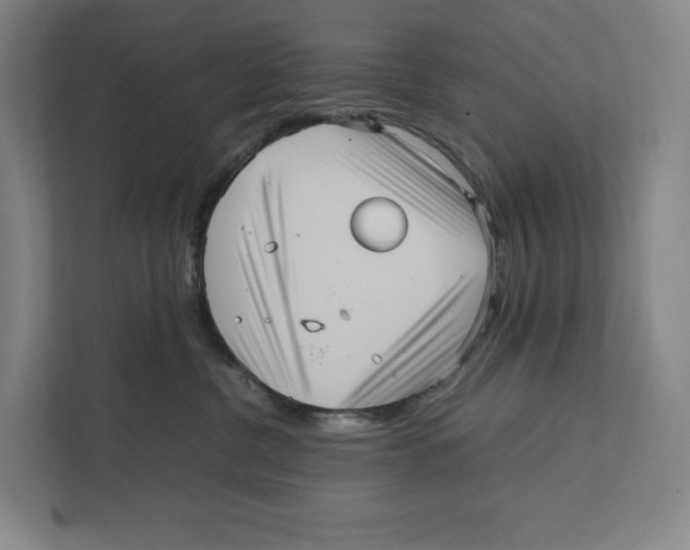 X0000111810380200908201115