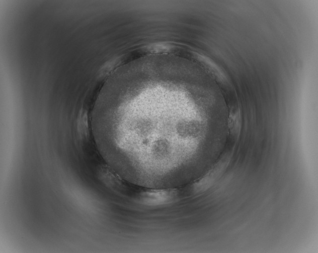X0000111810381200908201115