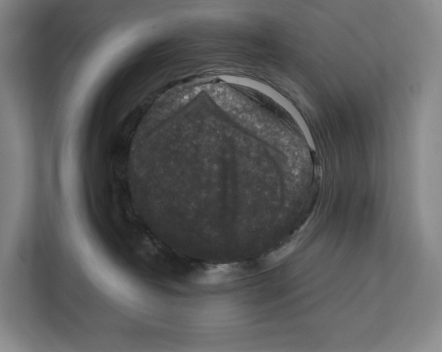 X0000111810382200908201115