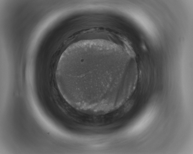 X0000111810383200908201115