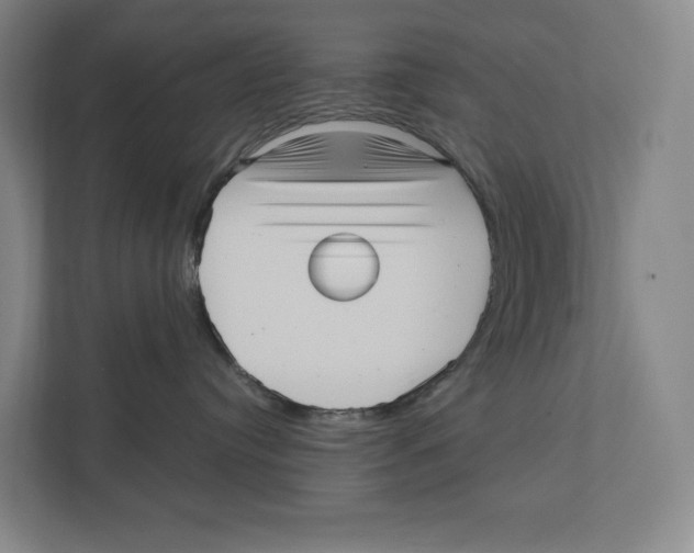 X0000111810384200908201115