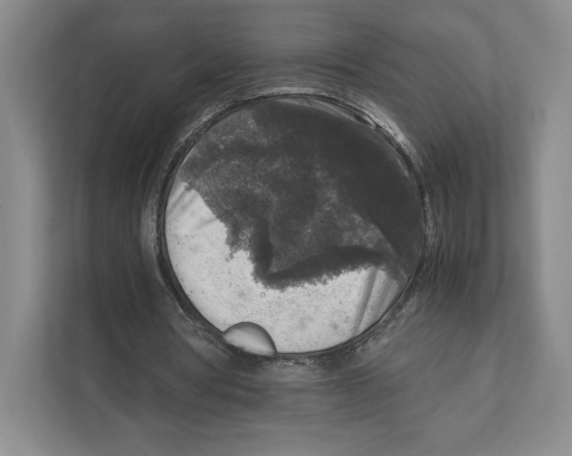 X0000111810386200908201115