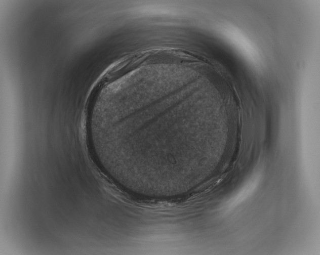 X0000111810387200908201115