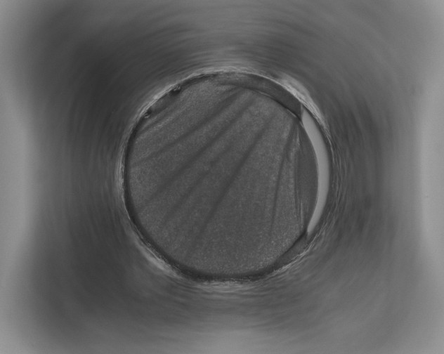 X0000111810389200908201115
