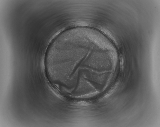 X0000111810390200908201115