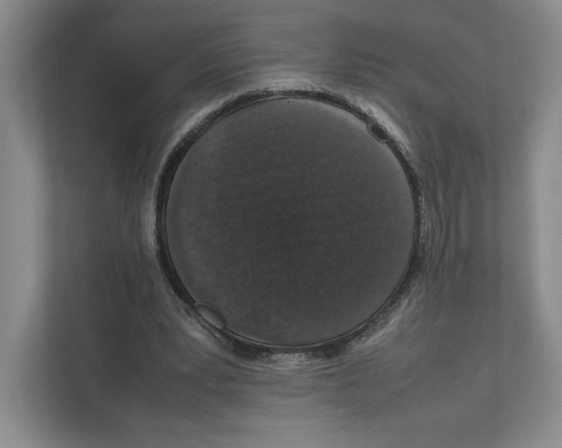 X0000111810391200908201115