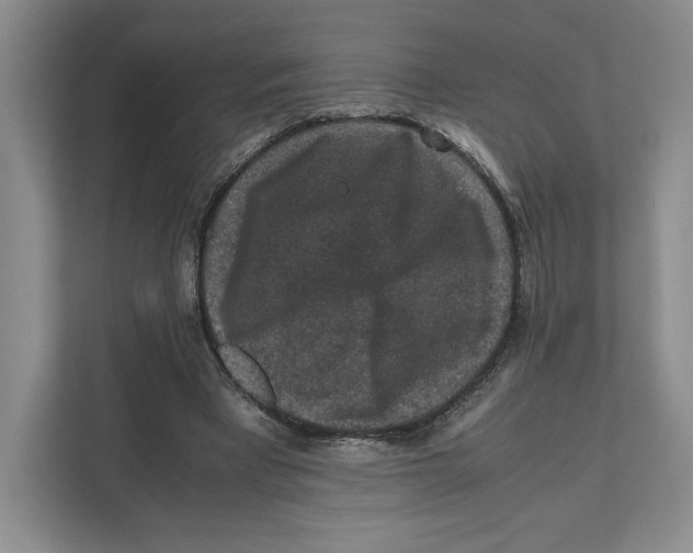 X0000111810393200908201115