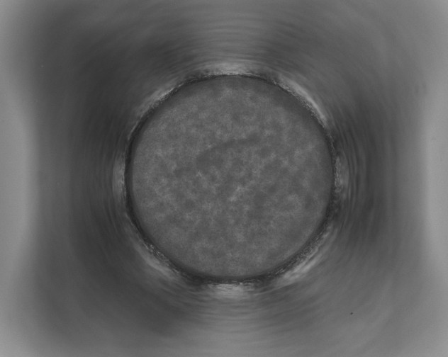 X0000111810394200908201115