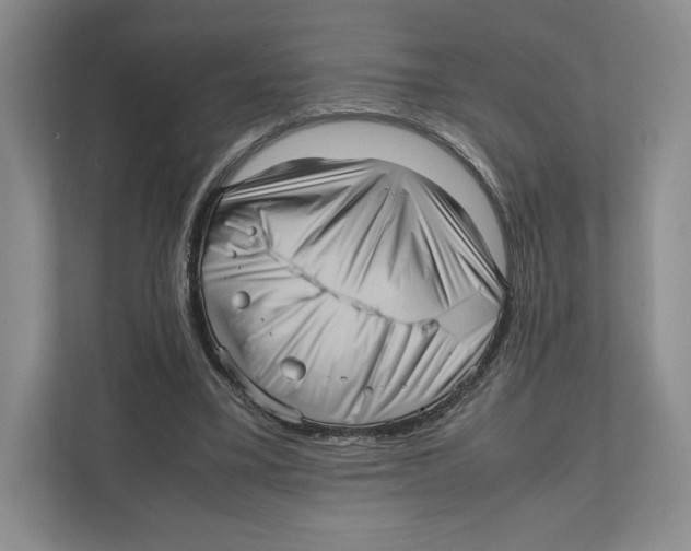 X0000111810395200908201115