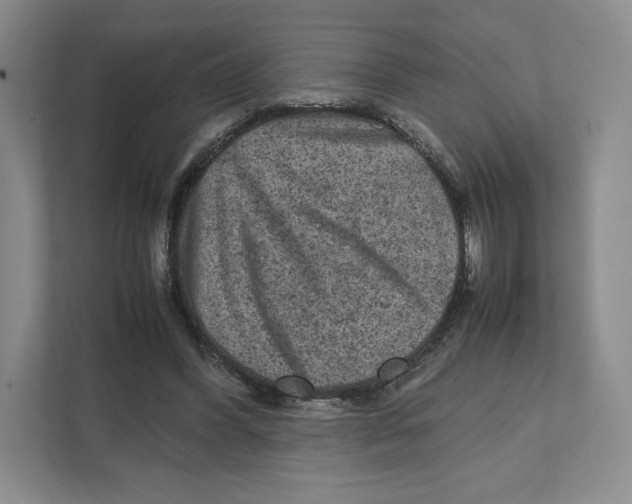 X0000111810396200908201115