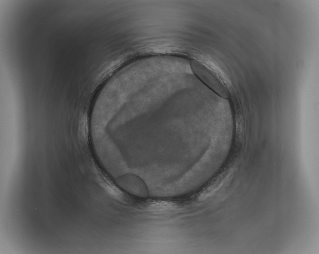 X0000111810397200908201115