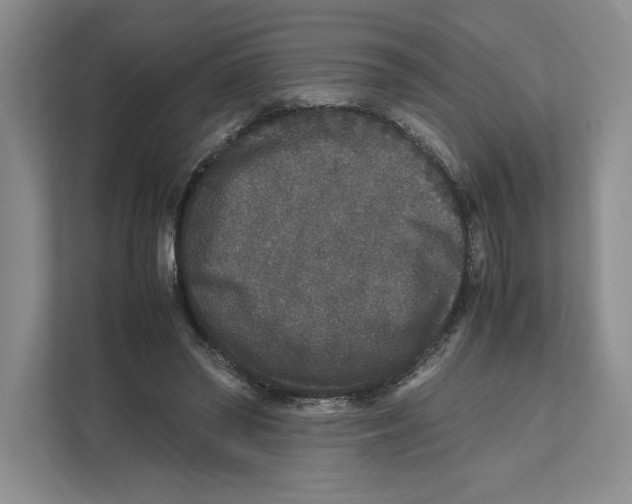 X0000111810398200908201115