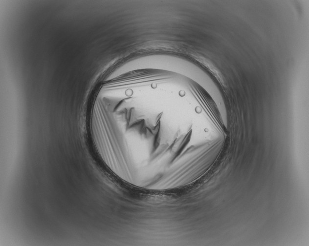 X0000111810399200908201115