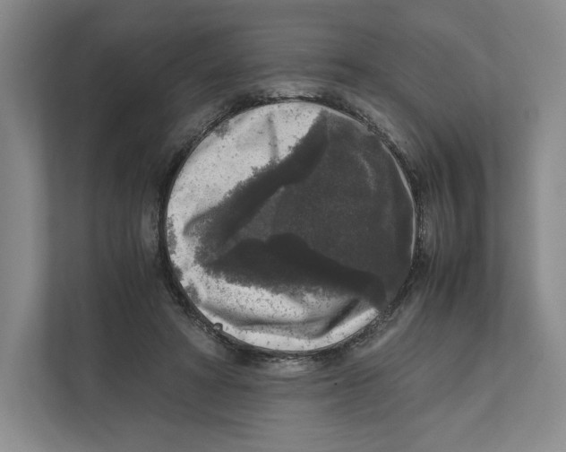 X0000111810402200908201114
