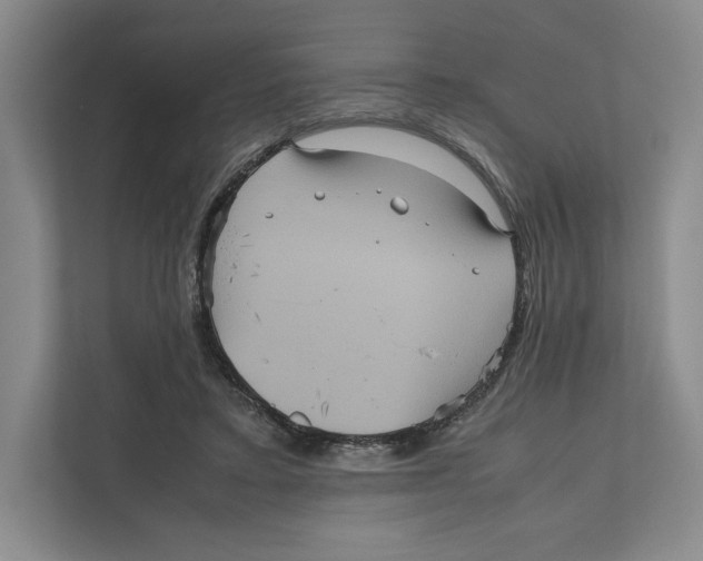 X0000111810403200908201114