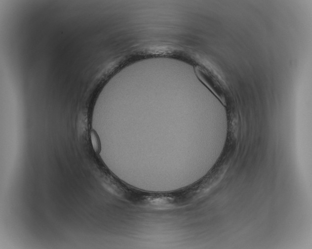 X0000111810407200908201114