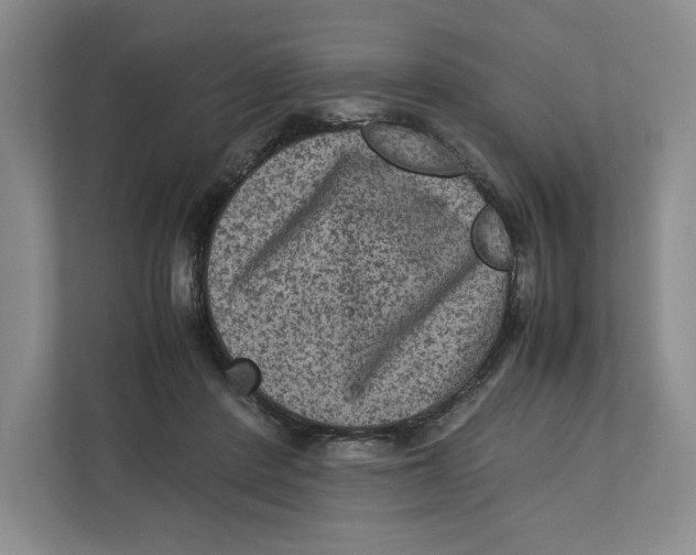 X0000111810408200908201114