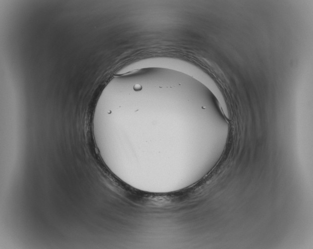 X0000111810409200908201114