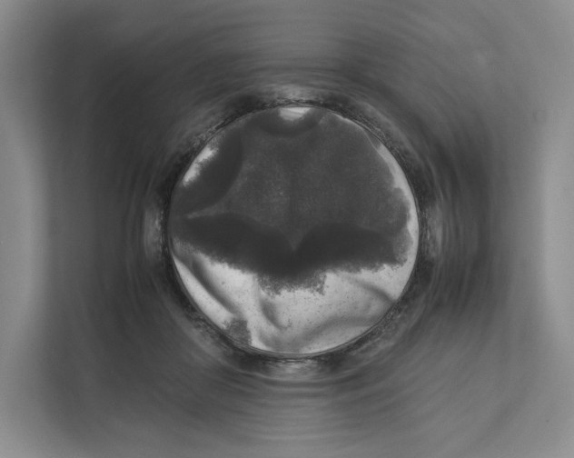 X0000111810410200908201114