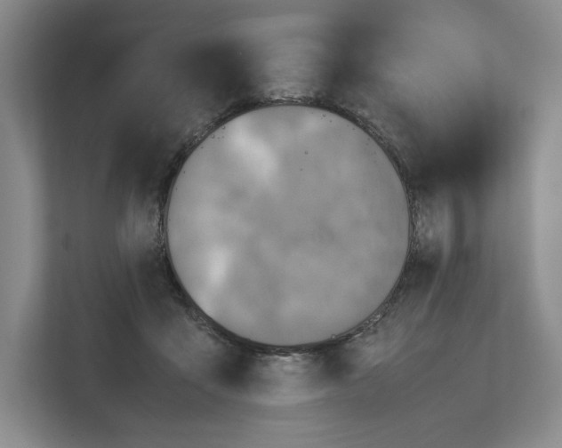 X0000111810411200908201114