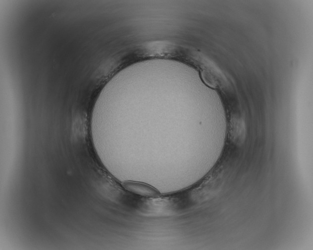 X0000111810413200908201114
