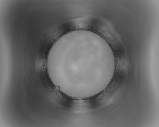 X0000111810419200908201114