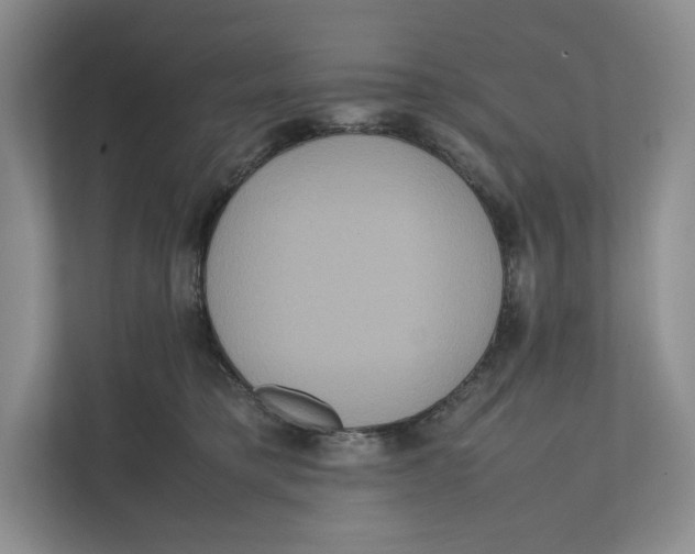 X0000111810421200908201114