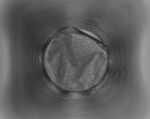 X0000111810424200908201114