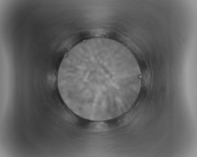 X0000111810427200908201114