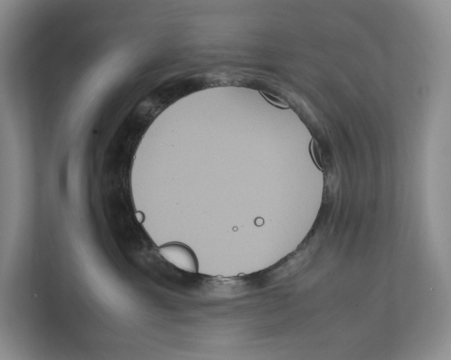 X0000111810429200908201114