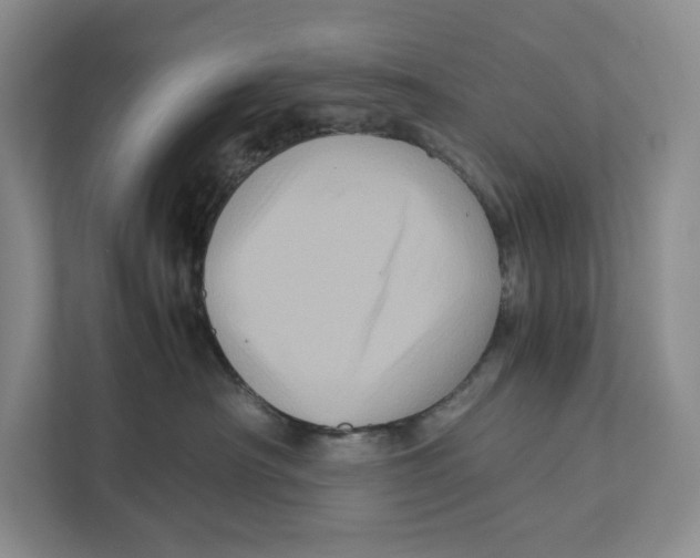 X0000111810430200908201114
