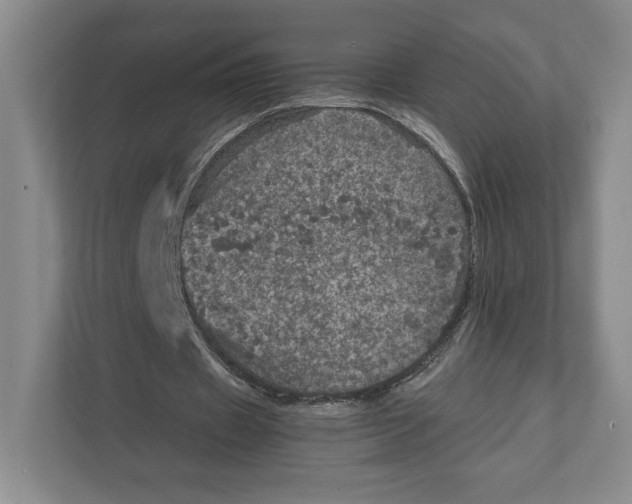 X0000111810433200908201113