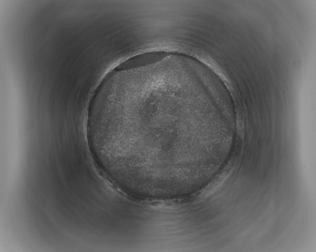 X0000111810434200908201113