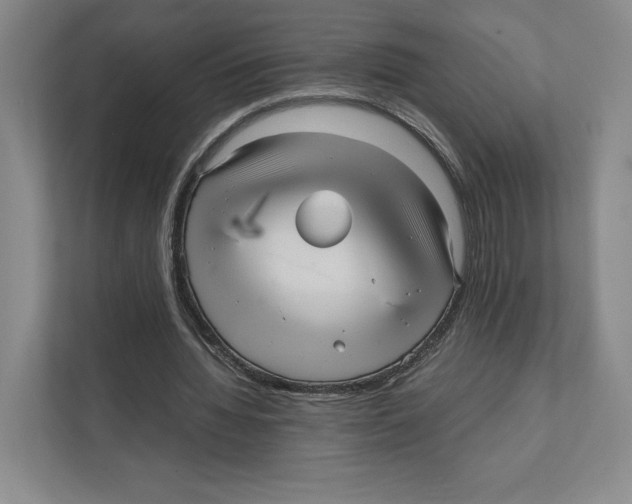 X0000111810436200908201113