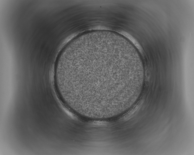 X0000111810437200908201114