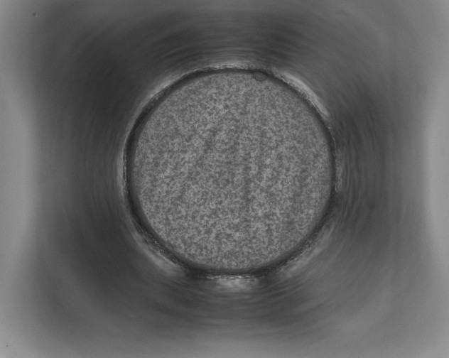 X0000111810439200908201114
