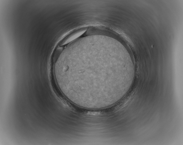X0000111810440200908201114