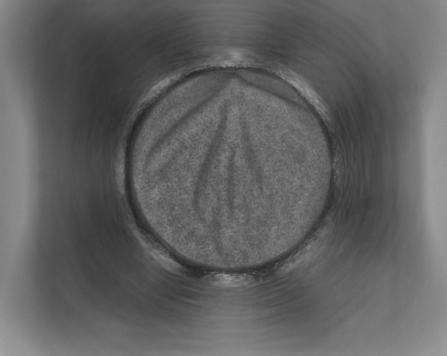 X0000111810442200908201114