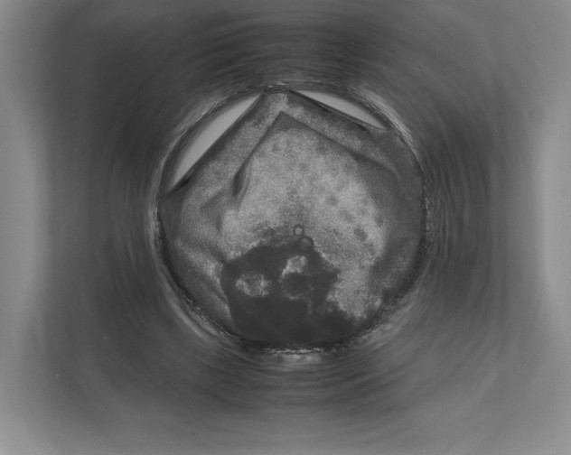 X0000111810443200908201114
