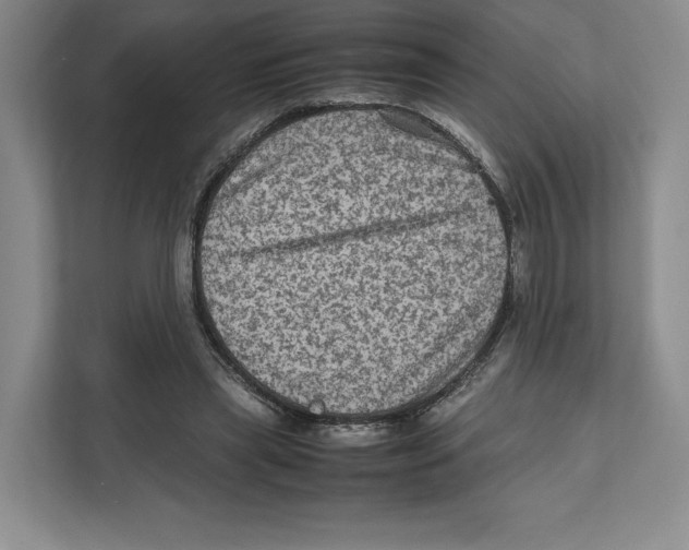 X0000111810445200908201114